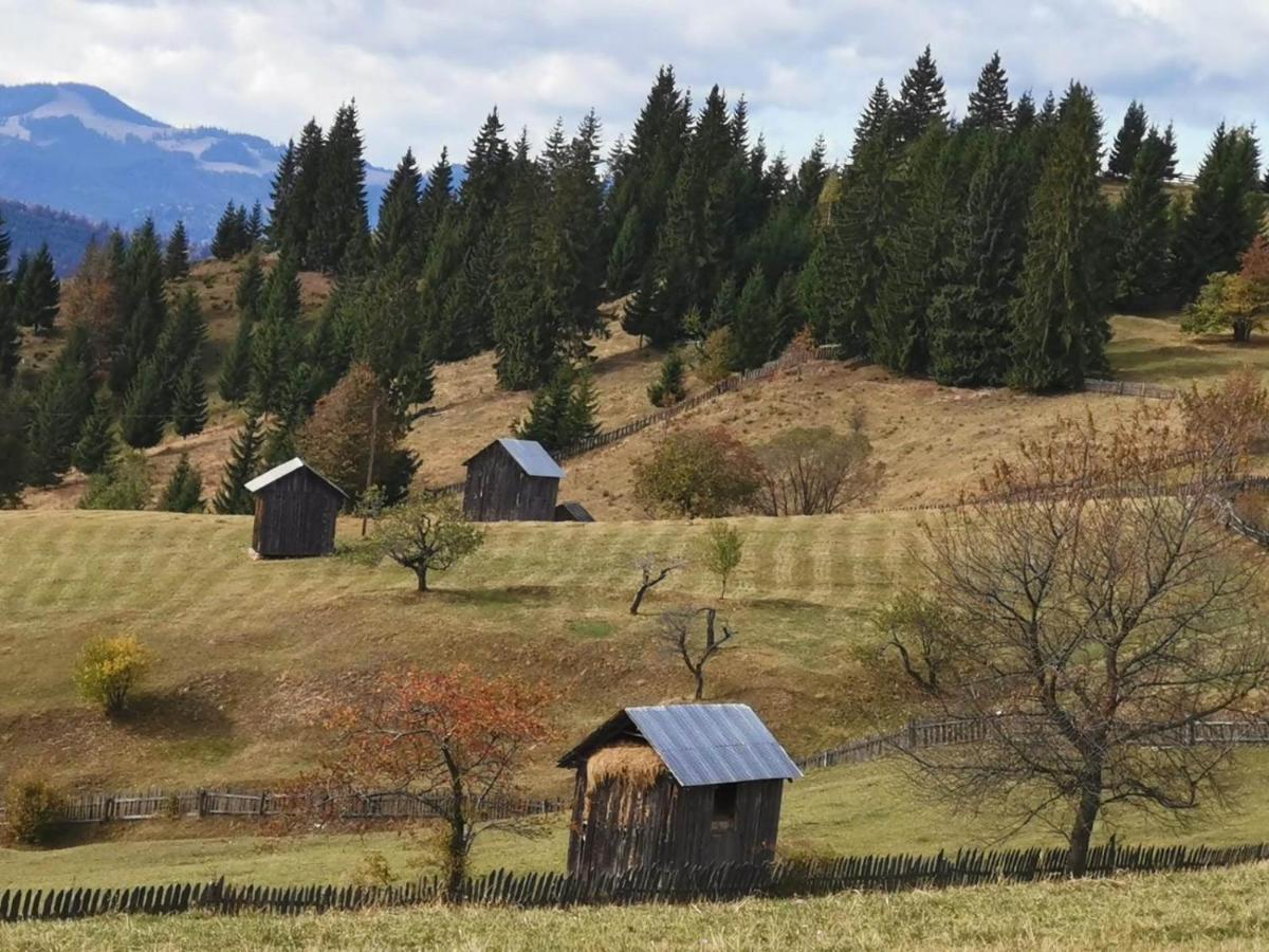Pensiunea Agroturistica Casa Colinita Ватра Молдовицей Экстерьер фото