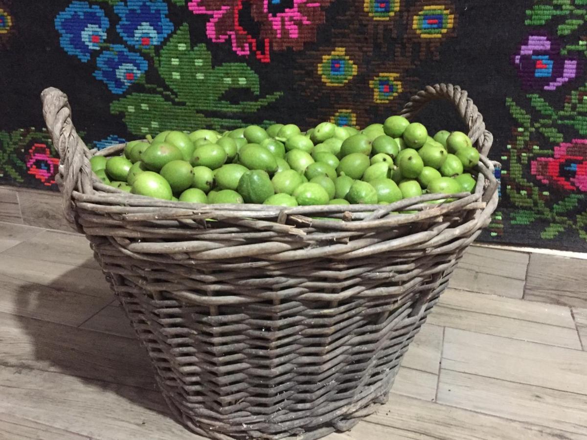 Pensiunea Agroturistica Casa Colinita Ватра Молдовицей Экстерьер фото