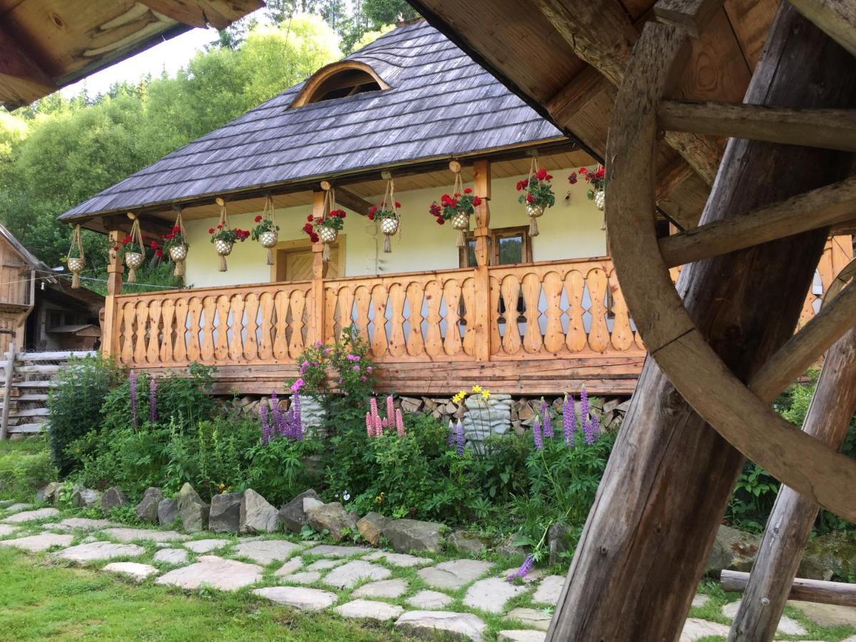 Pensiunea Agroturistica Casa Colinita Ватра Молдовицей Экстерьер фото