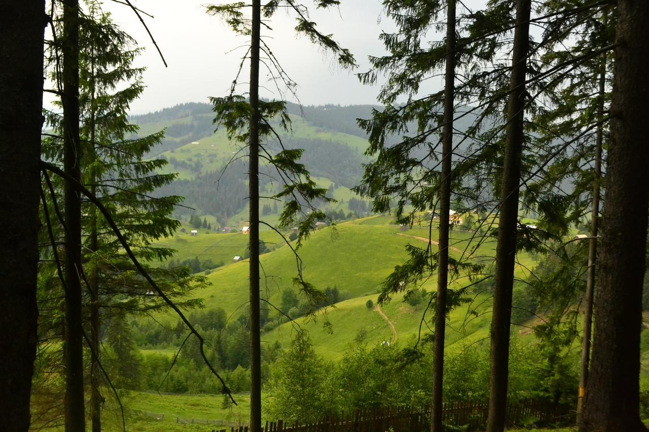 Pensiunea Agroturistica Casa Colinita Ватра Молдовицей Экстерьер фото