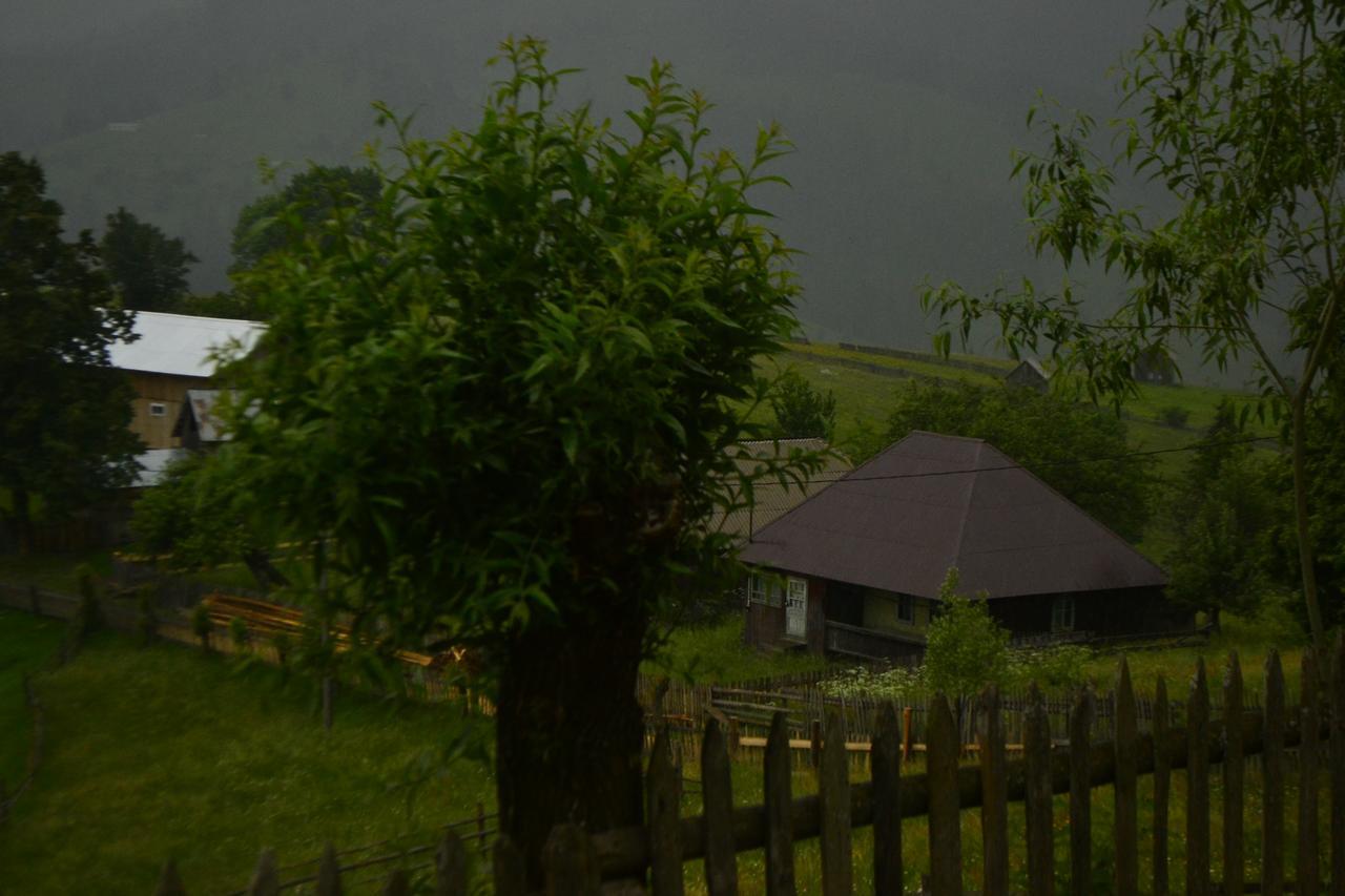 Pensiunea Agroturistica Casa Colinita Ватра Молдовицей Экстерьер фото